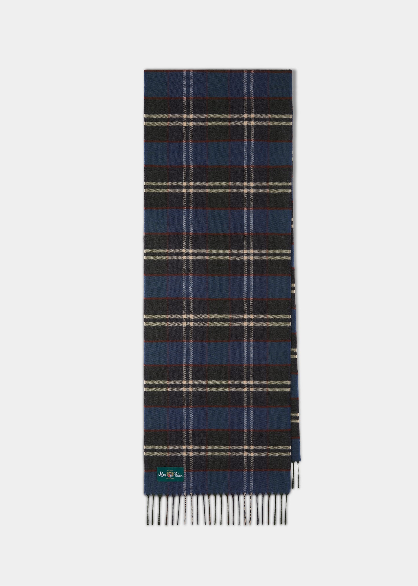 Lubmore Wool Plaid Scarf In Blue