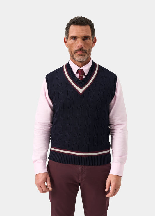 Men's Cotton Vee Neck Slipover Cricket Jumper in Navy and Purple