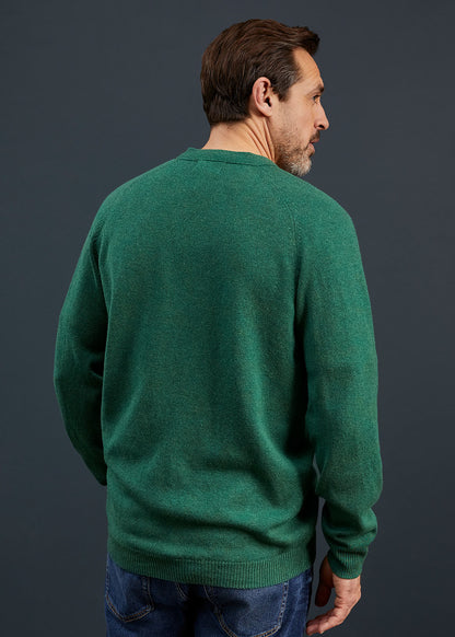 Men's Lambswool Cardigan in Forest 