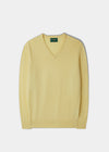 Men's Geelong Lambswool Vee Neck Jumper in Sorbet