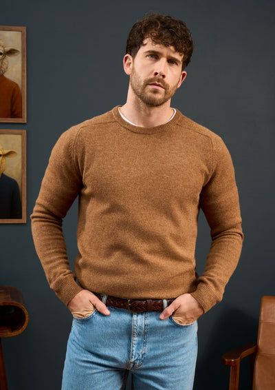 Lenzie-Mens-Lambswool-Jumper-In-Regular-Fit-Driftwood